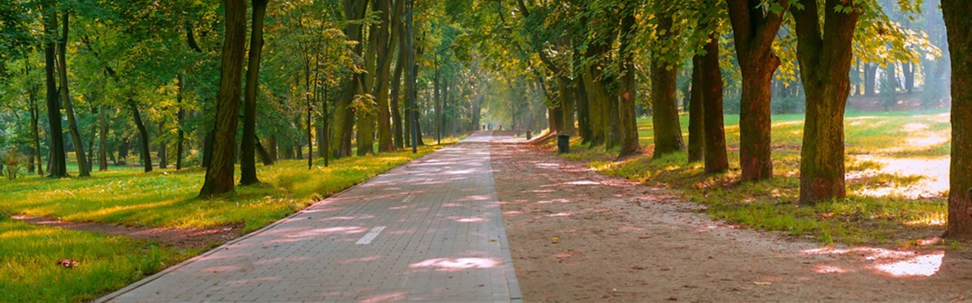 bg_slider_empty